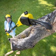 Best Lawn Grading and Leveling  in Newington, VA
