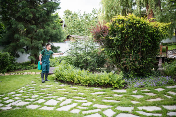 Best Tree Maintenance Programs  in Newington, VA