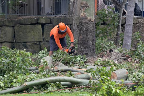 Best Utility Line Clearance  in Newington, VA